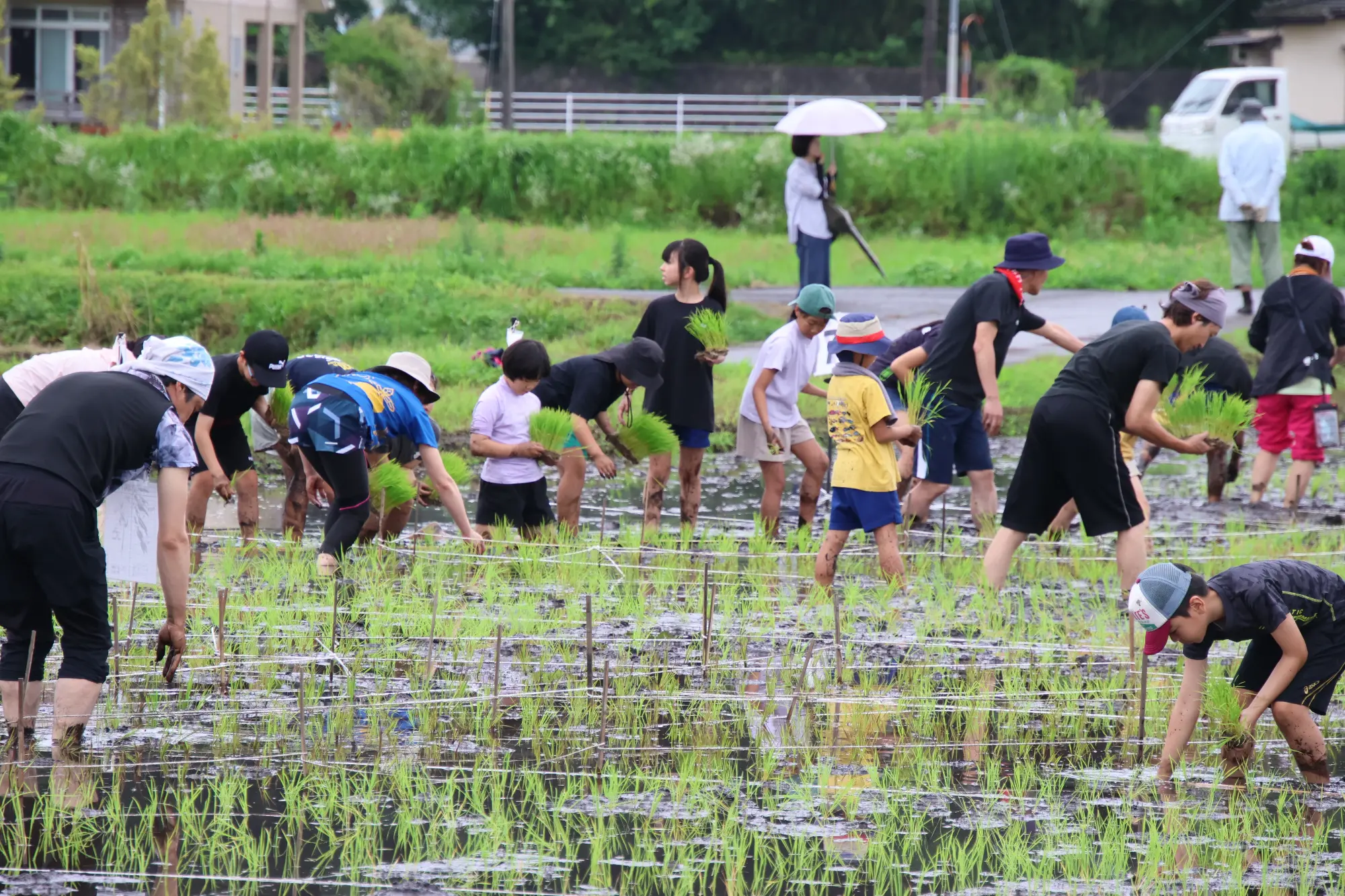 田んぼを彩る泥だらけのアーティスト ～田んぼアートの田植え～
