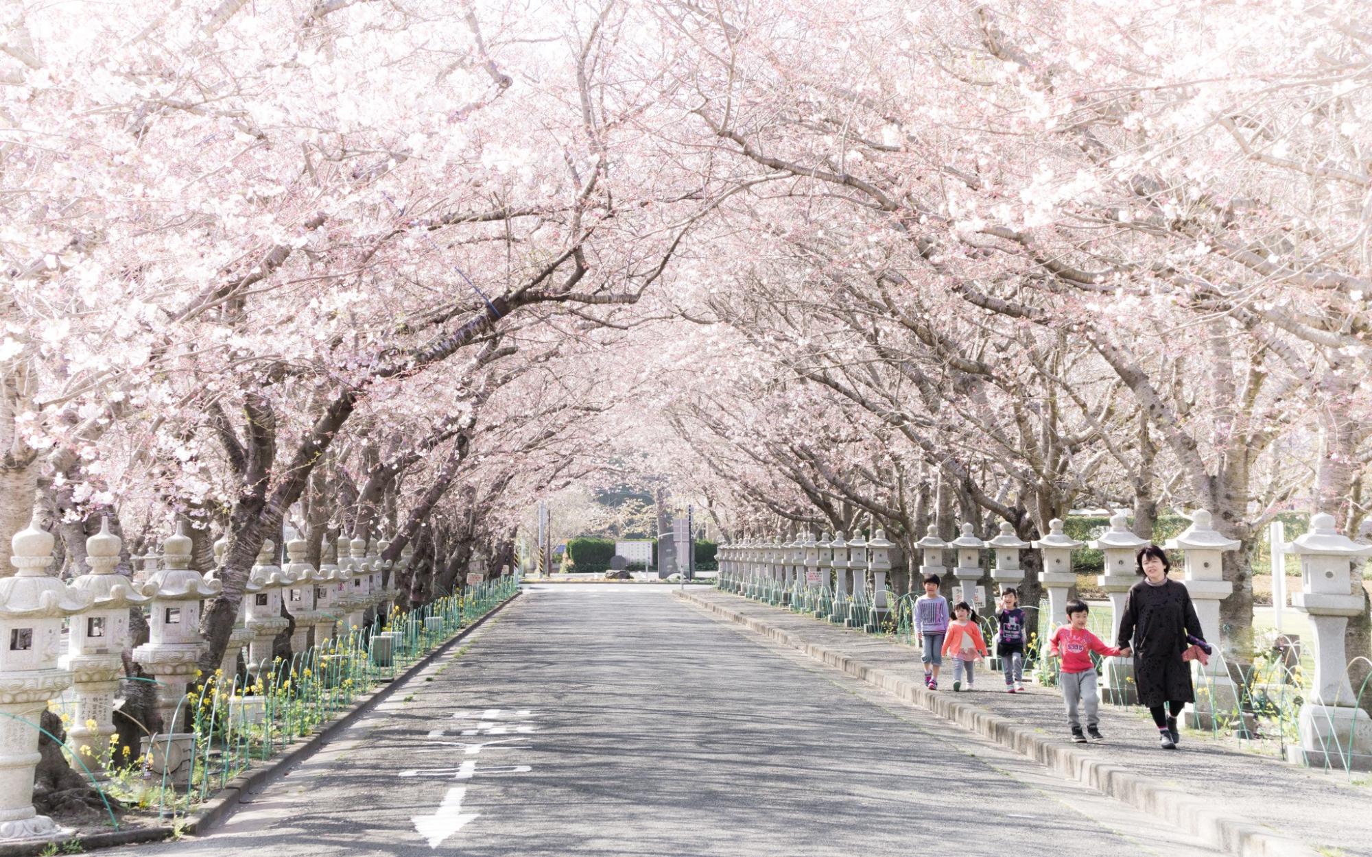 知覧平和公園
