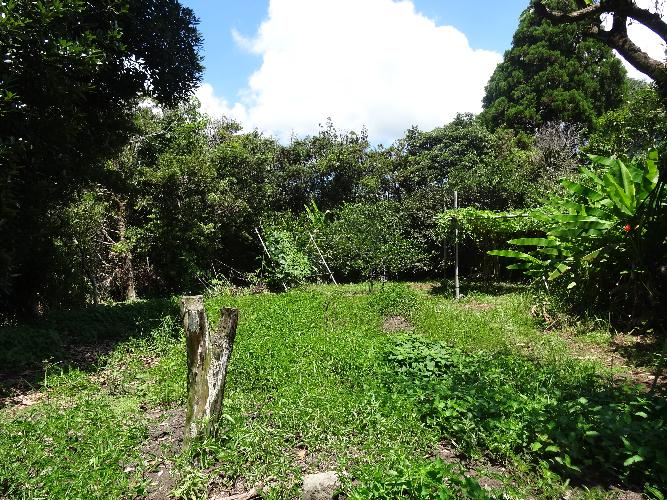 detached 知覧地区
